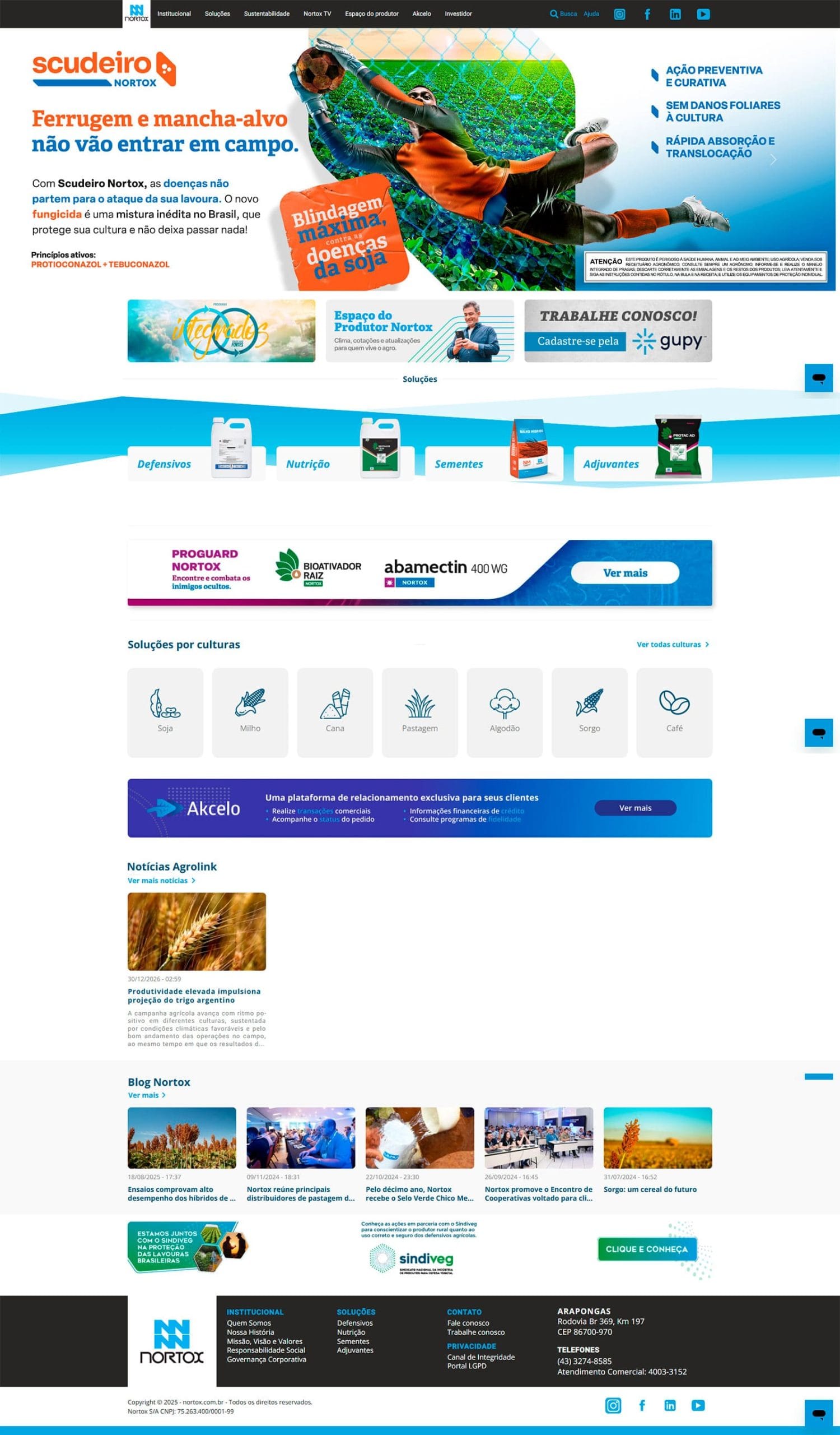 Projeto 11 – preview